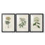 Antique Turpin Botanical VII - reproduction sur mesure encadrée de qualité supérieure - 3 pièces-312085987-312085984