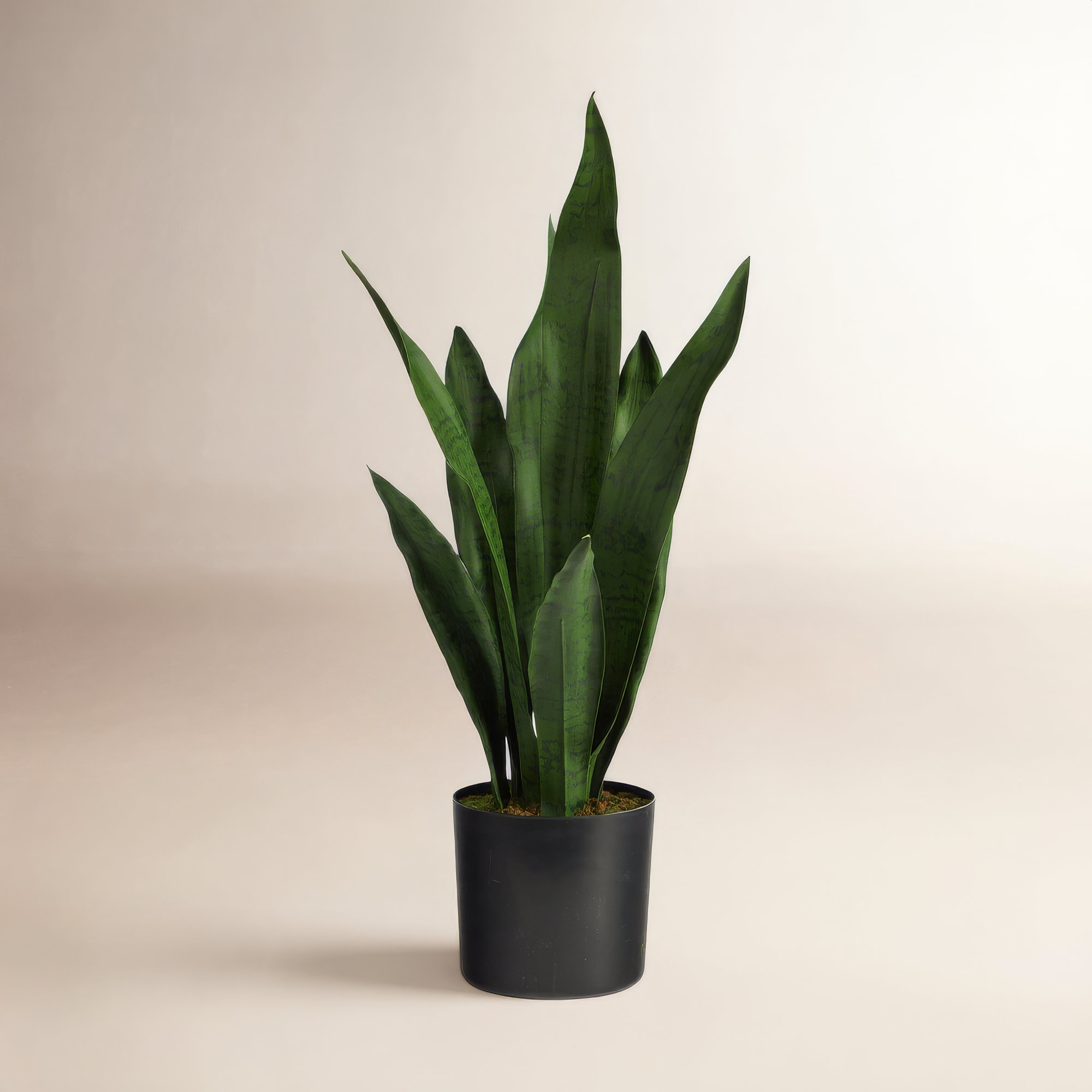 Faux Snake Plant (Sansevieria) Plant in Pot, 22" H x 5" W x 5" D, Green