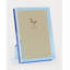 Lucite Frame W/Orange Back 4X6-200161384-200161383
