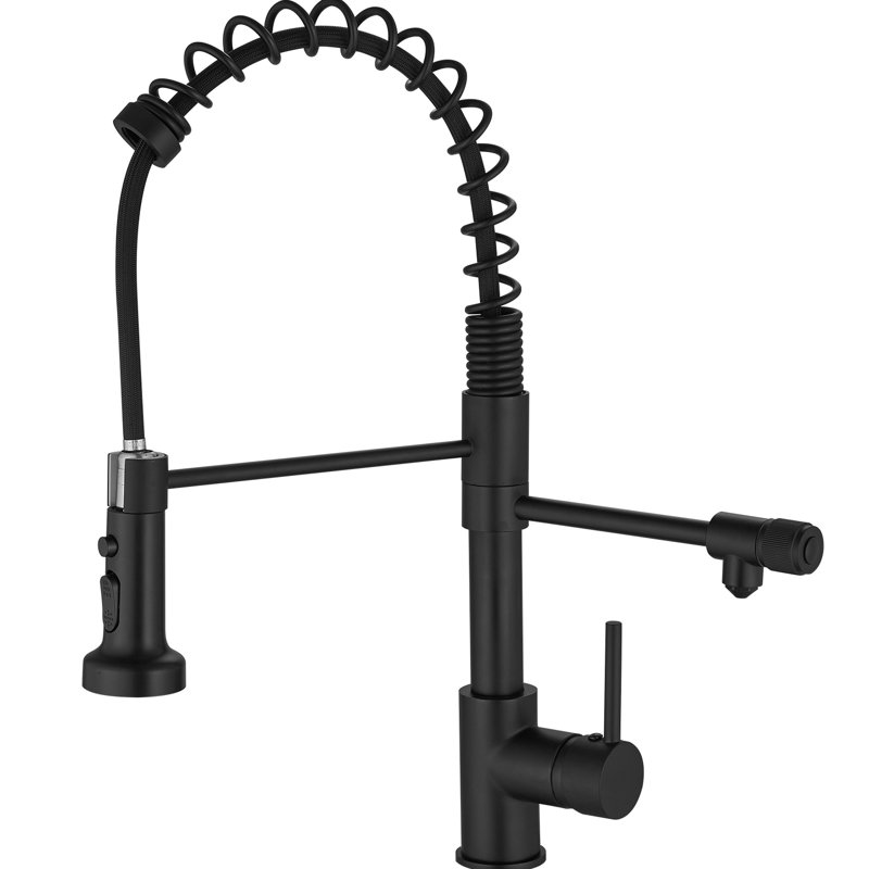 Purificateur d'eau de robinet de cuisine avec filtre rétractable - noir mat, double sortie de tuyau, purificateur noir facile à installer et à entretenir