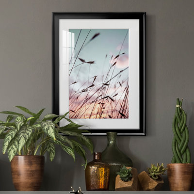 " Falls Park Sunset "
