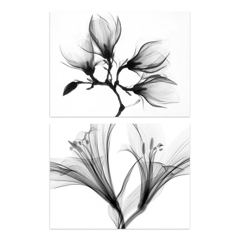 Flower X-Ray's Lily And Magnolia Black White 2-Piece Set Unframed Wall Art Prints Office Study Aesthetic Photograph