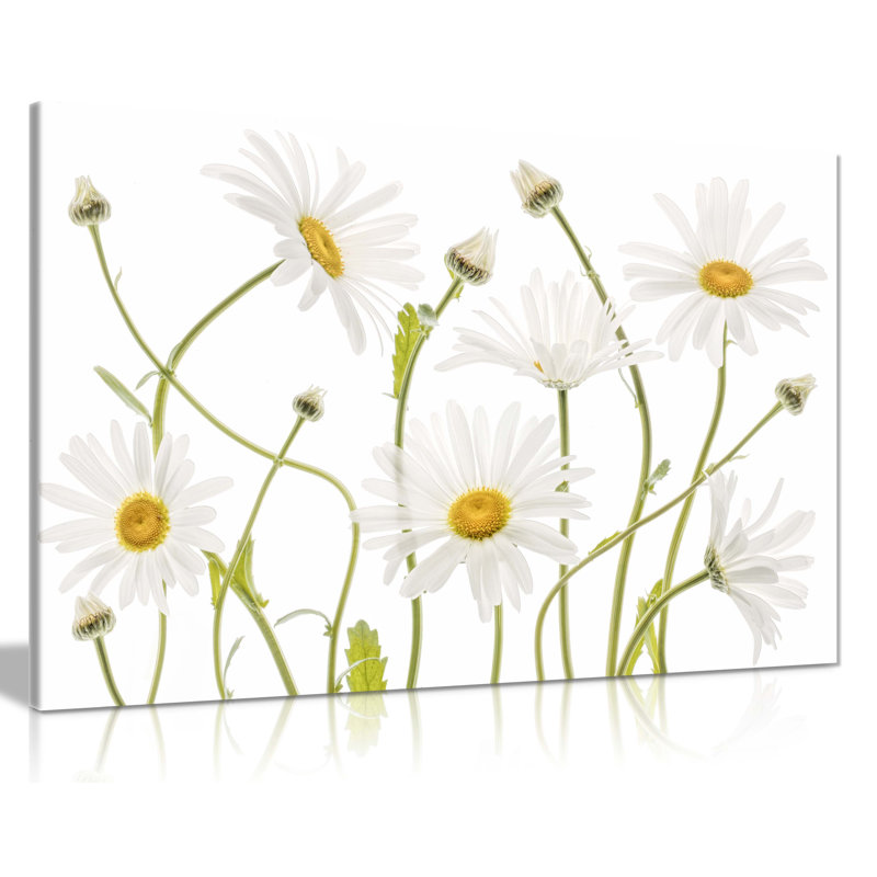 White Ox Eye Daisies Flower Floral Garden - Wrapped Canvas Painting, 31cm H x 20cm W