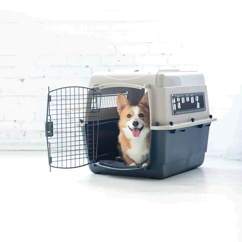 Taupe and Black 28" Airline Approved Plastic Pet Carrier