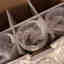 Customer photo 3 of 5