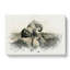 Two Elephants in Abstract - Wrapped Canvas-55303038