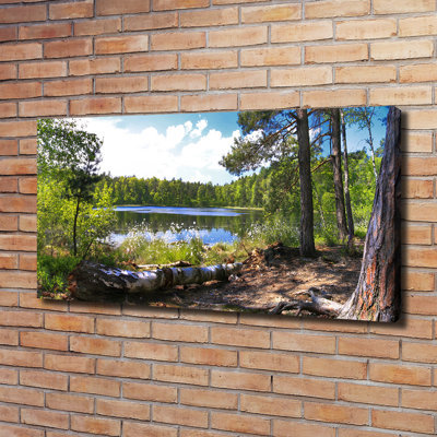 Forest Panorama - Wrapped Canvas Print