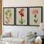 Botanical Array VI  -Custom Framed  Wrapped Gallery Canvas - 3 Pieces-916200992-916200998
