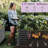 Millerville Raised Garden Bed-6x3x2 FT-2088059991-2088059989