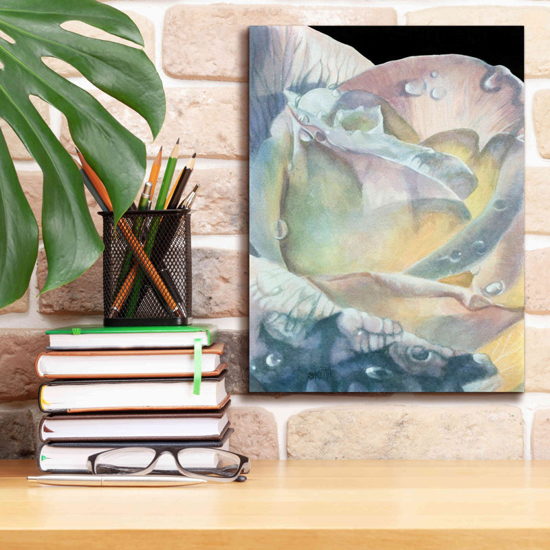 'Sparkler' by Barbara Keith, Canvas Wall Art, 16" H x 12" W x 0.75" D