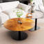 Altamae Pedestal Coffee Table