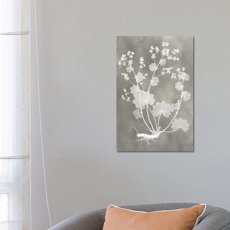 Herbarium Study I - Wrapped Canvas Painting, 66.04 cm H x 45.72 cm W x 1.91 cm D