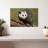 Brampt Angry Opossum-108156224