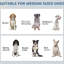 Dog Feeding Assortment With Hidden Bowls, Adjustable Panel, Hooks For Medium Dogs, Black Arrangement Containers, Hooks,