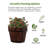 Eugenia Handmade Wood Barrel Planter-884268552