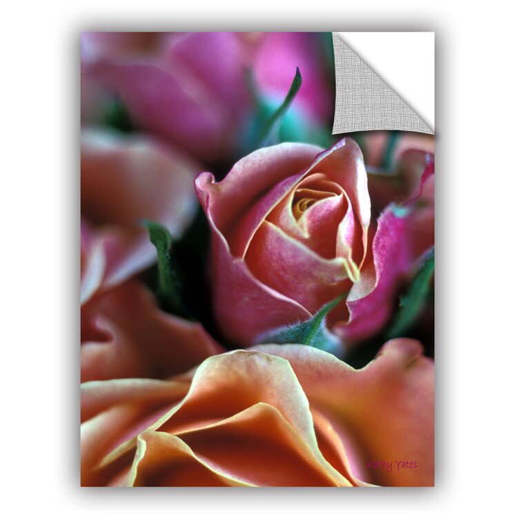ArtApeelz Mauve And Peach Roses by Kathy Yates Photographic Print on Canvas