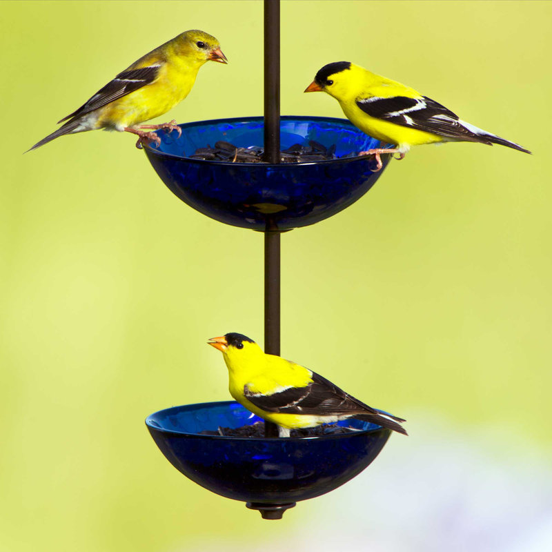 Hanging Decorative Bird Feeder, Lime Green