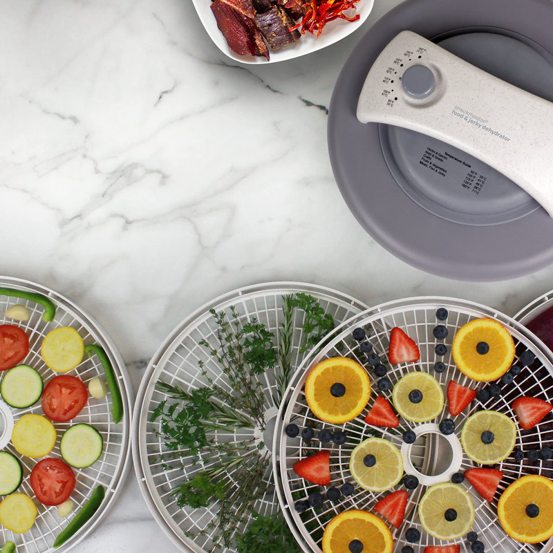 Nesco Snackmaster 4-Tray Gray and White Food Dehydrator