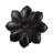 Boho Plants & Flowers Wall Decor on Metal