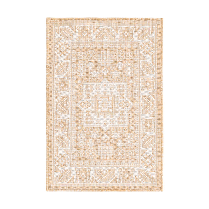 Danera Oriental Indoor / Outdoor Rug, Rectangle 2'2" x 3'