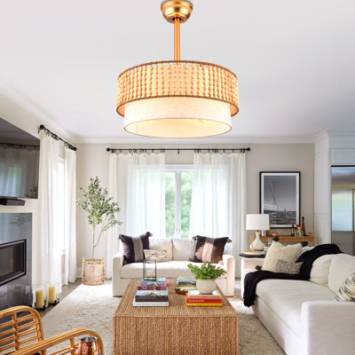 Ventilateur de plafond 20 po à 3 pales avec cage Boho Gold Light