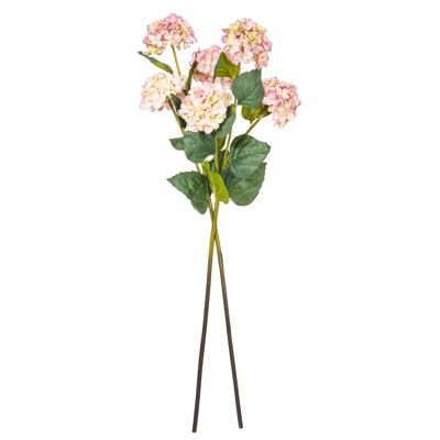 Ranbir Hydrangea Stems