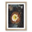 Blooming Cacti by R.J. Thornton - Picture Frame Painting Print-55544577-55544576
