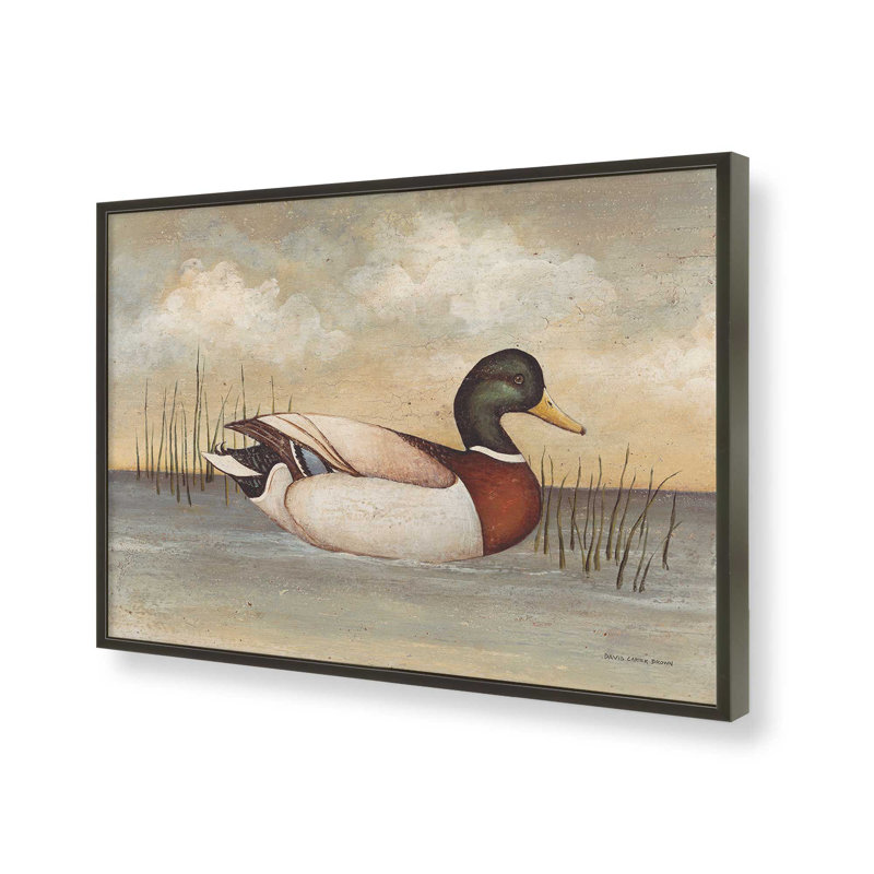 «Mallard» par David Carter Brown, reproduction d'art, L 32 po x H 24 po, Noir, Impression encadrée