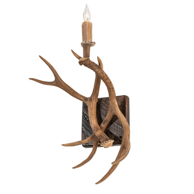 Antlers 1 - Light Candle Wall Light