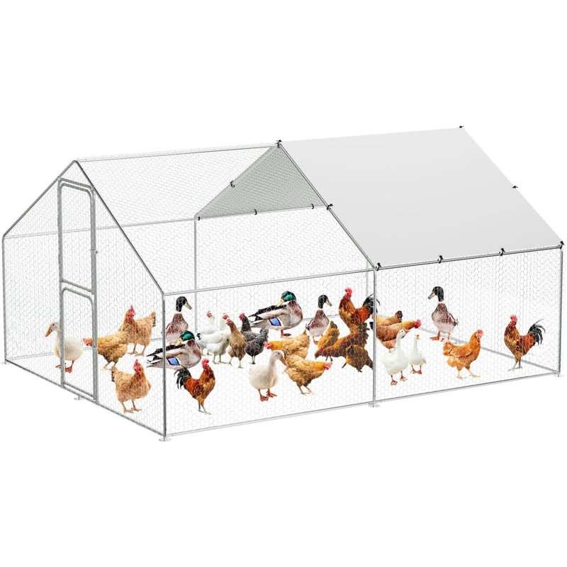 Walk In Chicken Coop with Chicken Run, 198.1cm H × 299.7cm W × 198.1cm D