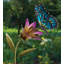 Piquet de jardin 45 po papillon et fleur en métal avec peinture résistante aux intempéries et piquet de sol robuste-92580498