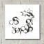 «Grapes II BW» par Chris Paschke, art mural en verre acrylique-1551377281