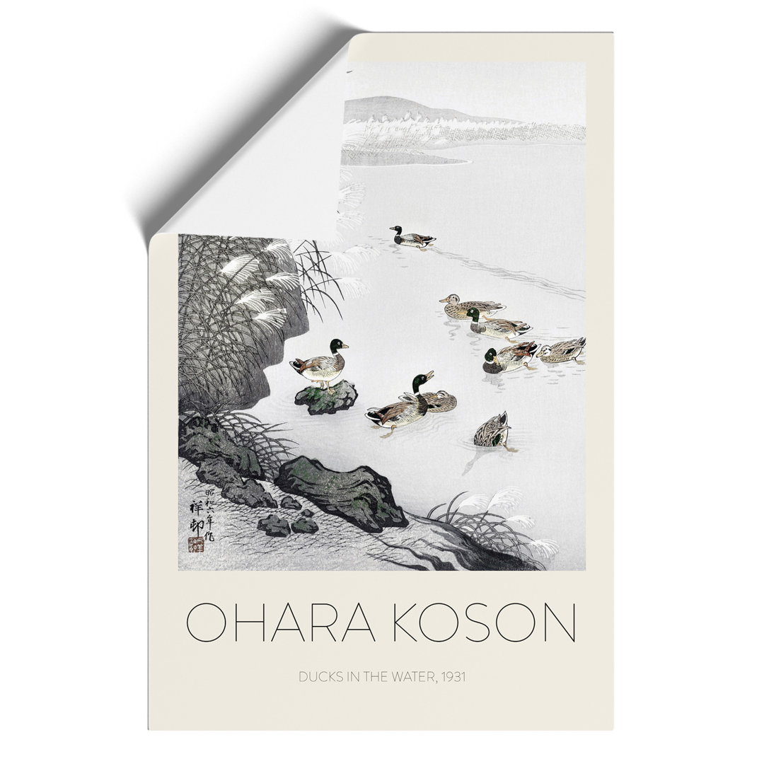 Mallard Ducks in the Water Print by Ohara Koson - Frameless Print