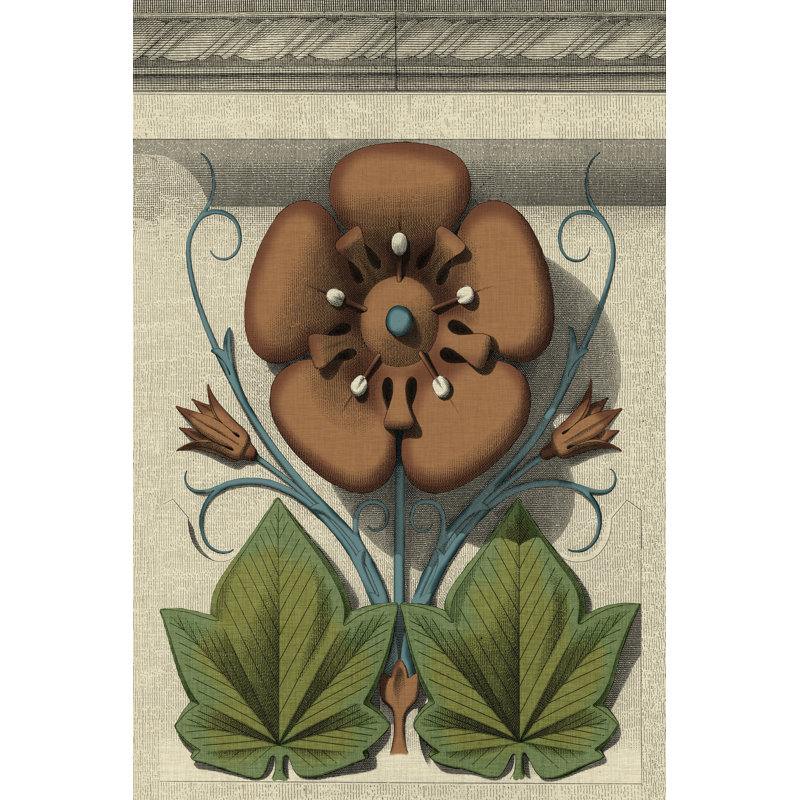 Floral Detail I by Vision Studio - Wrapped Canvas Print, 30cm H x 20cm W