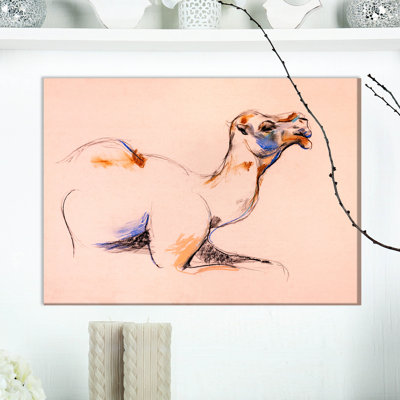 " Camel "