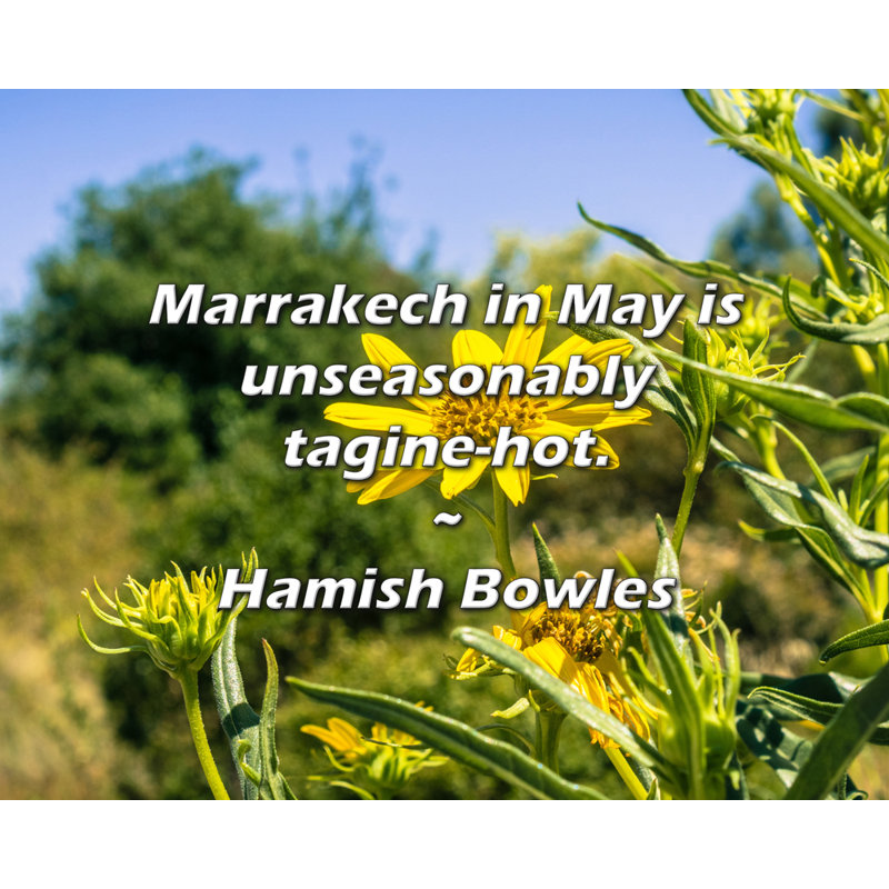 Hamish Bowles Citation: Marrakech en mai est exceptionnellement tajine., H 15 po x l 18 po