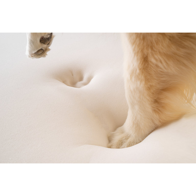  Tapis classique Puprug, Original (l 55 po x P 50 po x H 2 po), Cuir de vache brun