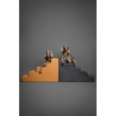 Escalier pour chien, rampe pour lit pour chien, escalier pour lit haut, conception pour les petites et grandes races, collection en cuir durable à 4 marches pour animal (densité de mousse de 35)