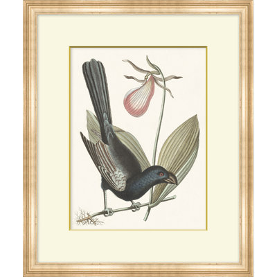 Summer Bird 6 Print