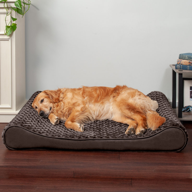 Ultra Plush Luxe Lounger Orthopedic Foam Contour Dog Bed, Chocolate, Jumbo (45" W x 30" D x 6" H), Orthopedic Foam