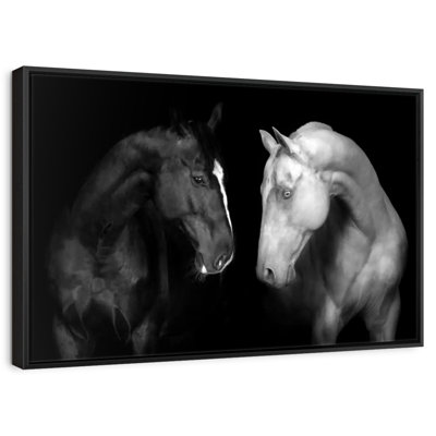 Chevaux monochromes