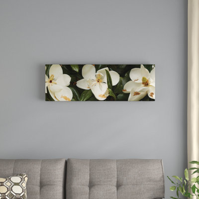 " Close-Up Of Magnolia Flowers In Bloom III " Color Photography