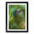 Black Framed selected