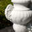 Elegant Peacock Urn Statue
