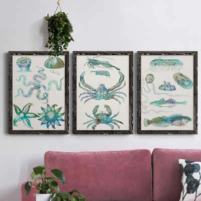 Aquatic Assemblage VII - Ensemble de 3 peintures sur toile encadrées