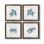 «Bubble Blue Turtle I», ensemble de 4 peintures sur toile encadrées-776471397-776471406