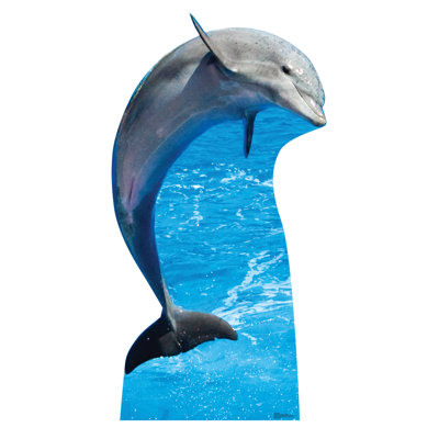 Dolphin
