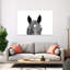 «Peeking Horse», art mural cheval contemporain