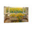 Scène de champ tournesol et baignoire-806872384-806872386-806872385