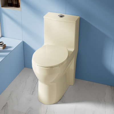 Toilette compacte une pièce à jupe 19 po ADA